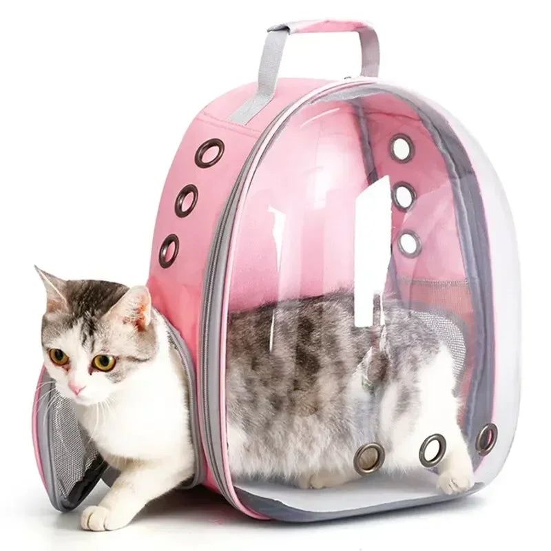 A cat carrying a backpack, transparent bubble, pet cat supplies cat transport