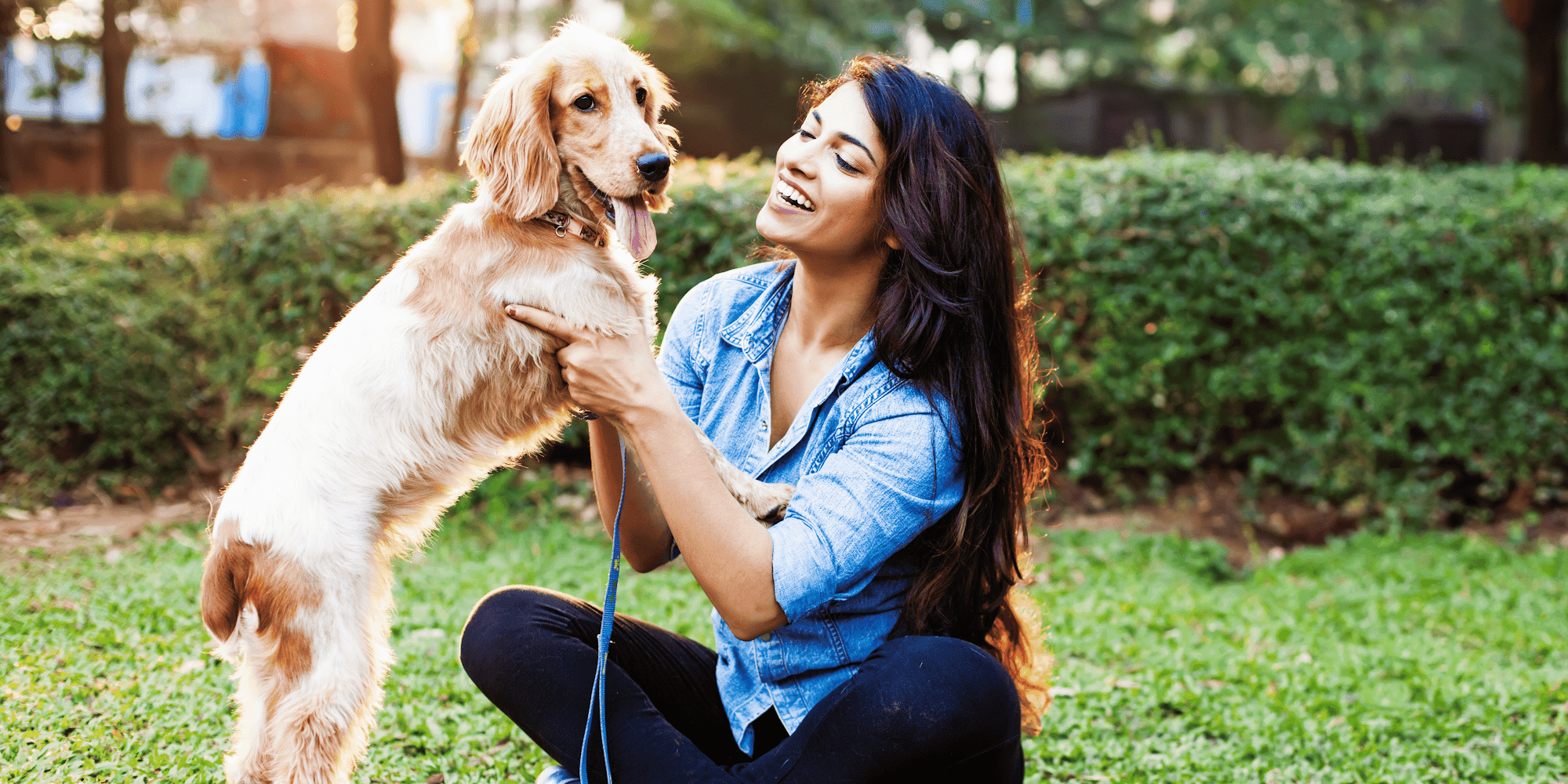 Image produit - Banner-4