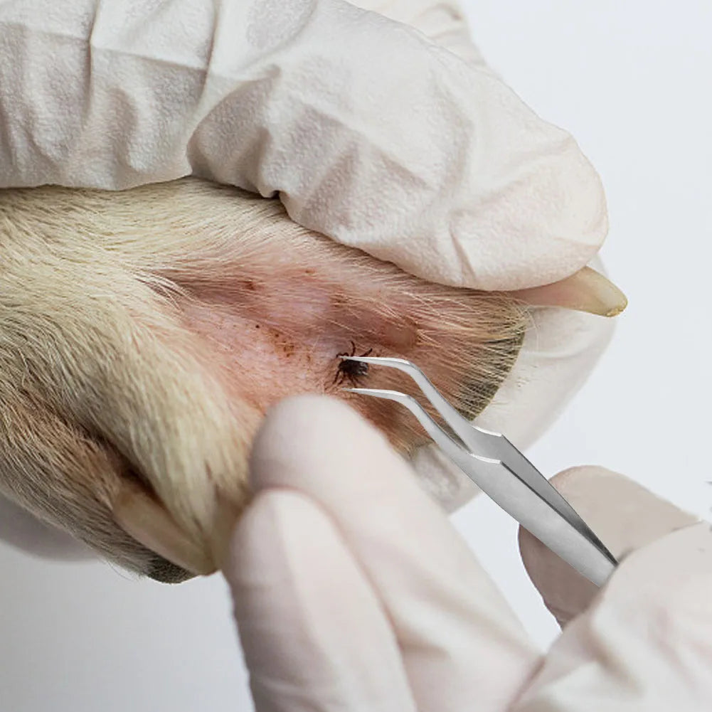 Outil d'élimination des puces, 3 pièces, pince à peigne à crochet, outil d'élimination des puces, fournitures pour animaux de compagnie, cueilleur de tiques