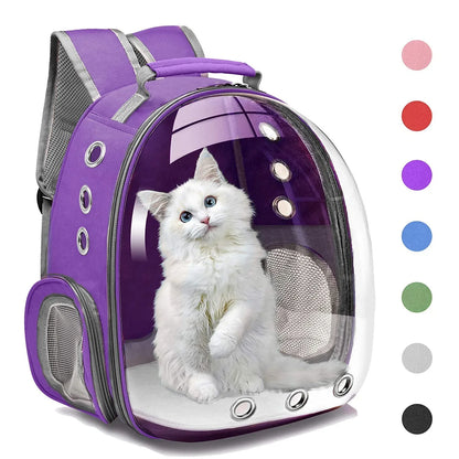 A cat carrying a backpack, transparent bubble,  pet  cat supplies  cat transport
