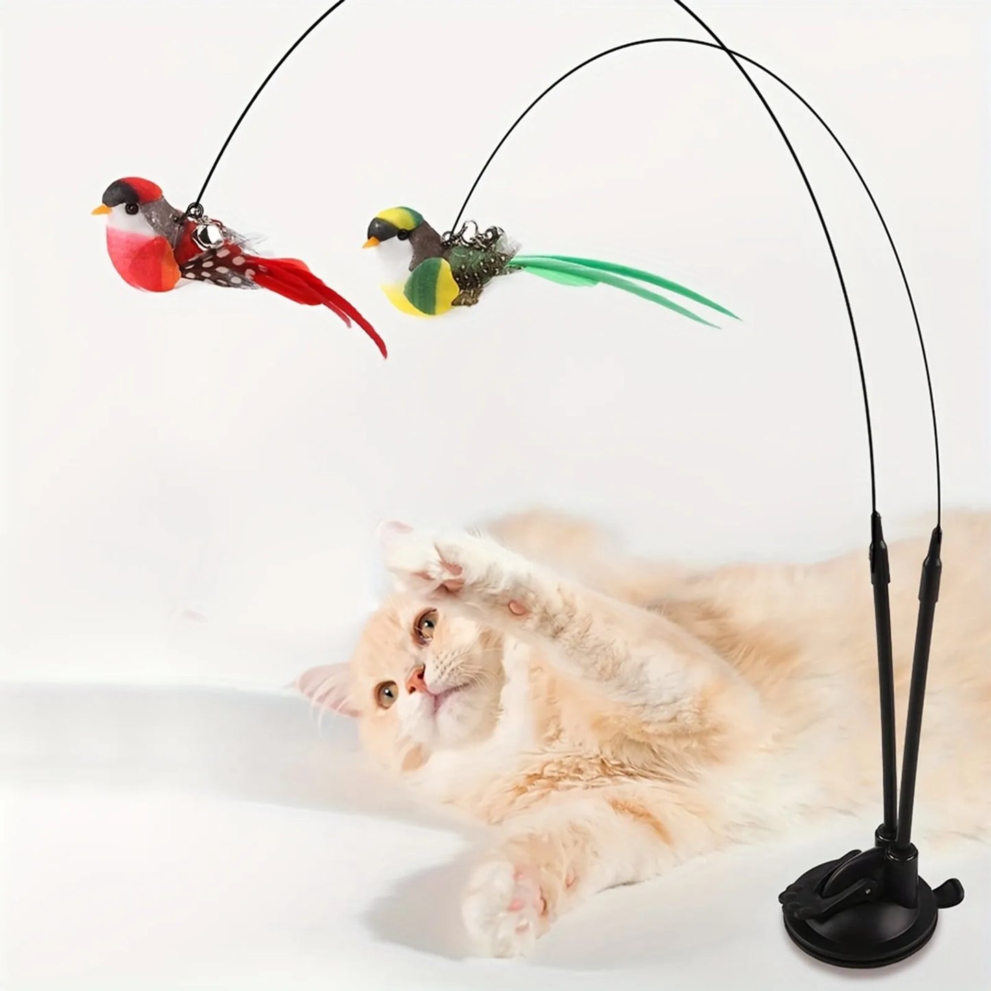Jouets pour animaux de compagnie, 2 pièces, plumes colorées, oiseau, chaton, chiot, jeu amusant, jouets d'entraînement, jouets d'auto-entretien pour chat, fournitures pour animaux de compagnie
