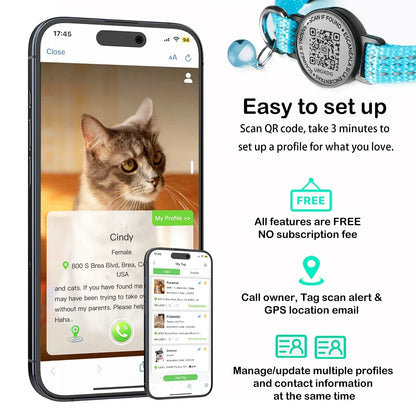 Pour collier de chat GPS AirTag avec étiquette QR, collier réfléchissant pour animaux de compagnie avec porte-étiquette d'air et étiquette de chat, collier de chaton AIRTAG